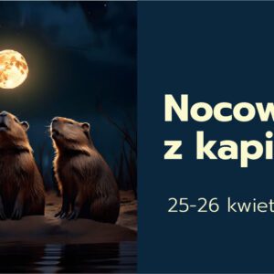 Nocowanka z kapibarą – relaks, zabawa i twórcze warsztaty